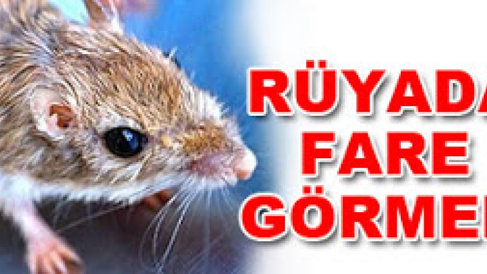 Rüyada fare görmek