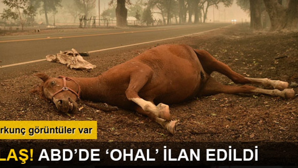 Flaş! ABD'de "OHAL" İlan Edildi