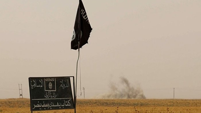 IŞİD'liler sınırdan tonlarca 'boya' geçirmişler