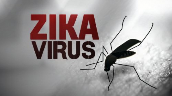 Google'dan ZIKA virüsüyle mücadele için büyük bağış!