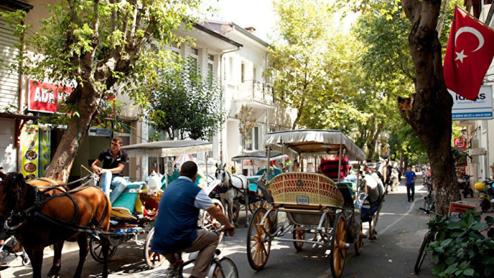 İstanbul’un kalbi Adalar’da çevreci yasak