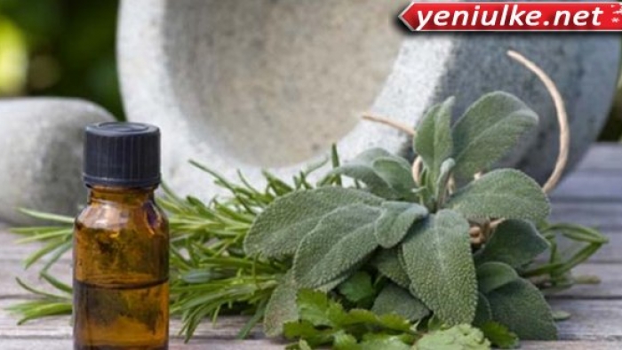 Aroma Terapi Nedir?Aroma Terapi Hangi hastalıklarda Kullanılır!