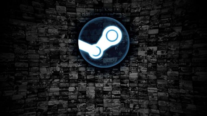 Steam Cüzdan Kodu Al – Fiyatlar