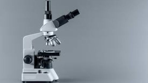 Yeni araştırma konseyi neden başarısız oluyor?