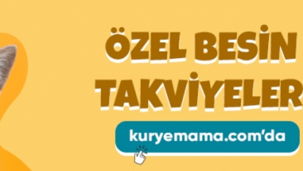 ND Farmina Yavru Kedi ve Köpekler İçin Mamaların Adresi Kurye Mama da