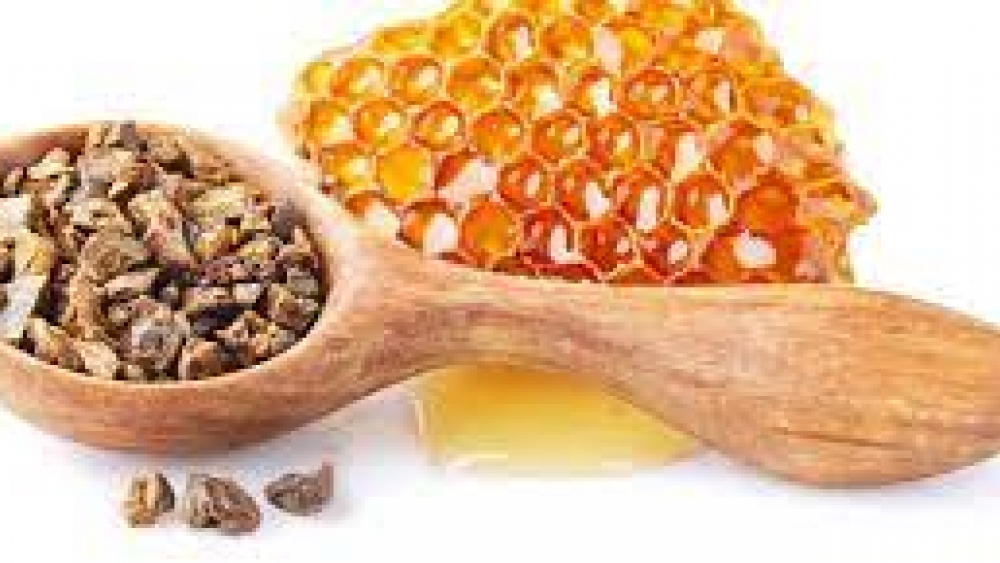 Propolis Nedir?