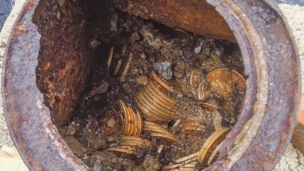 DEFİNE NEDİR DEFİNE NASIL BULUNUR? DEFİNE BİLGİ PAYLAŞIM SİTESİ